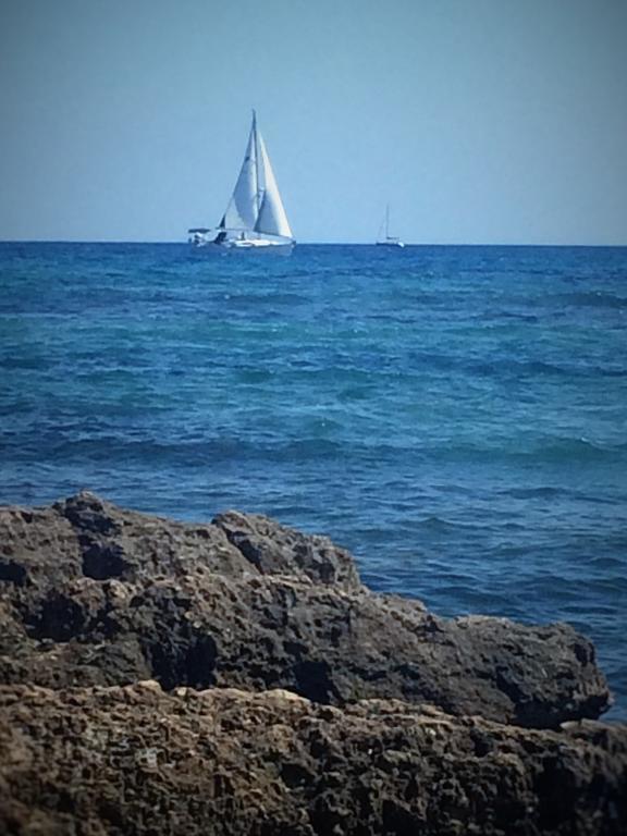 Apartamento Cala Del Palangre Torrevieja Zewnętrze zdjęcie